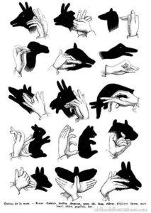 Shadow Puppets - Exercise your hand - fine Motor